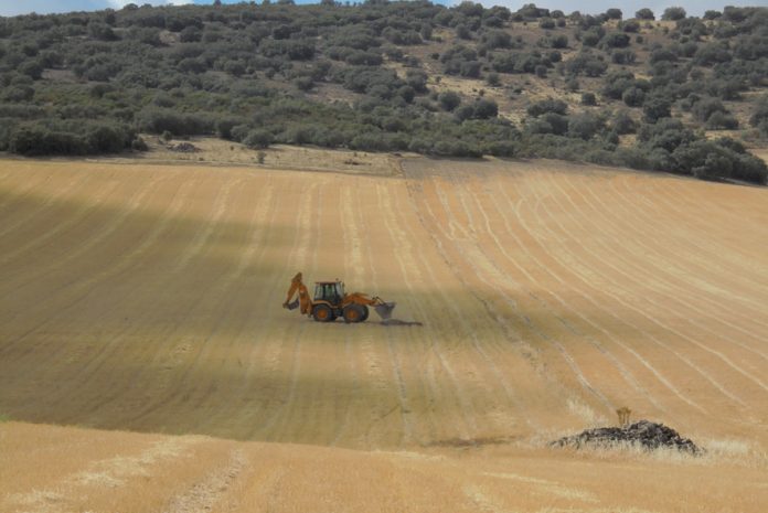 Los suelos de Torrenueva y Torre de Juan Abad contiene materiales de tierras raras. Fuente de la foto: Quantum Minería S.L.