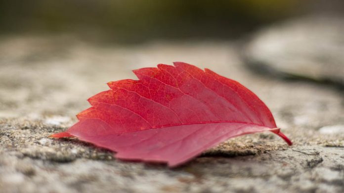 El Comité CLIVAR España prevé tres grados más de temperatura para finales de siglo, especialmente en verano y otoño