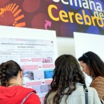 Tres personas recorren la exposición de pósteres de investigación de la Semana del Cerebro