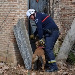 Efectivos de la unidad de rescate canino encuentran una víctima