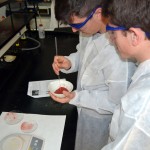 Dos alumnos del IES Virrey Morcillo de Villarrobledo (Albacete) en el taller de Química