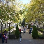 Los juegos se han celebrado en los jardines centrales del Campus de Ciudad Real