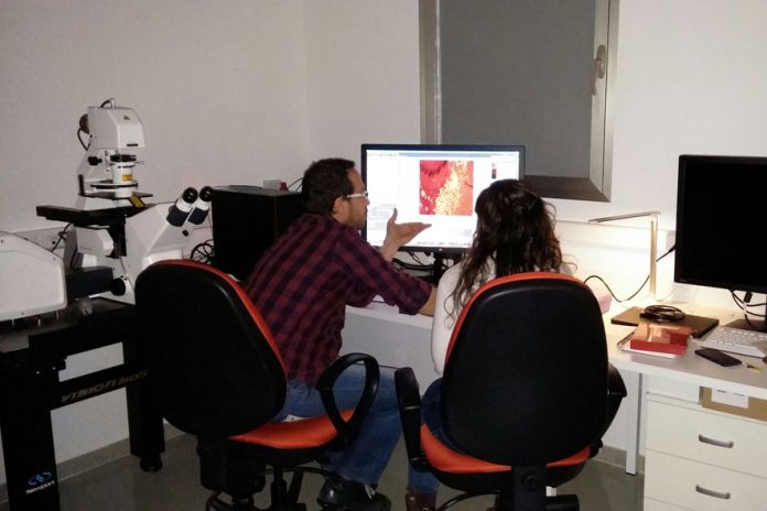 Laboratorio de microscopia confocal de la Facultad de Medicina de Ciudad Real (investigación sobre Alzheimer)