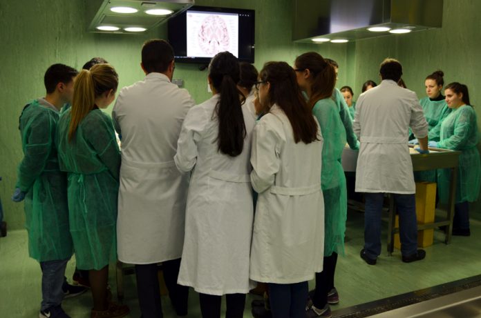 Un grupo de estudiantes realiza prácticas con cadáveres en la sala disección de la Facultad de Medicina de Ciudad Real