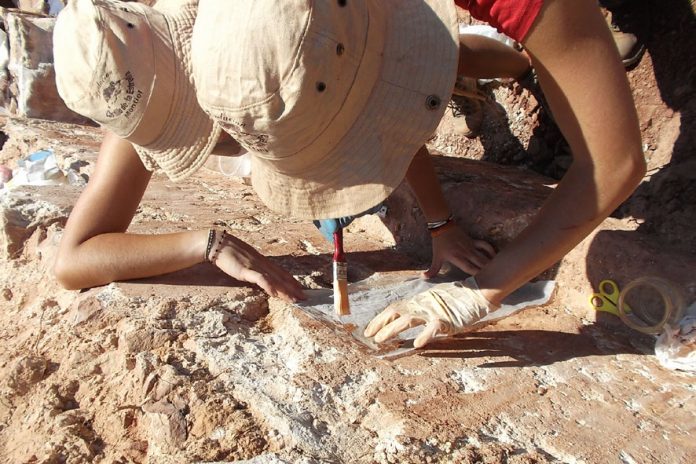 Catorce alumnos de la Facultad de Letras de la Universidad de Castilla trabajan en la campaña de excavación arqueológica del Castillo de la Estrella de Montiel