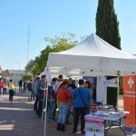 Estands informativos instalados en el paseo del Paraninfo de Ciudad Real.