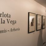 Este proyecto hace un recorrido artístico de su autora, Carlota de la Vega