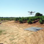 El proyecto por el que recibe esta beca persigue extraer información útil de imágenes obtenidas con drones para aplicaciones de agricultura de precisión