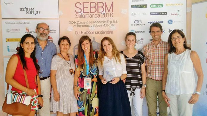 Cristina Pintado, Antonio Andrés, Nilda Gallardo, Virginia López, María Rodríguez, Lorena Mazuecos, Eduardo Moltó y Carmen Arribas, investigadores