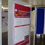 Desarrollo de las jornadas