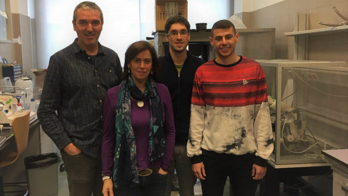 Investigacion_Nuevas_Memorias_Alzheimer
