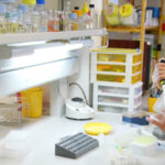 ciencias_y_tecnologías_químicas