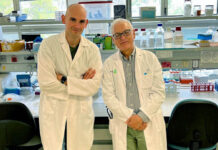 La UCLM participa en un estudio que describe la evolución de los anticuerpos anti-SARS-CoV-2 tras la vacunación