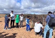 La UCLM impulsa la ciencia ciudadana implicando a personas con discapacidad en la investigación sobre biodiversidad