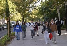 La UCLM lanza una microcredencial en modalidad virtual sobre Derechos Humanos de las personas con discapacidad