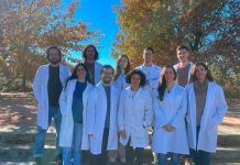 Investigadores de la UCLM y la spin-off ‘Nanolife’ desarrollan nanomateriales “inteligentes” como alternativa a los pesticidas