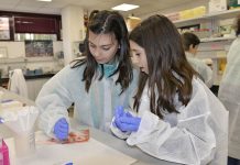 Investigadoras del Campus de Ciudad Real tratan de despertar la curiosidad científica en casi medio millar de escolares