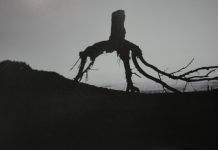 La sala ACUA del campus de Cuenca acoge una exposición sobre la interpretación artística del paisaje de los Montes de Toledo