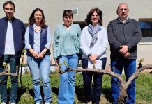 La UCLM define, por primera vez, doce tipos de suelo de referencia para los viñedos de Castilla La Mancha