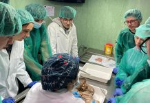 La Facultad de Enfermería de Ciudad Real ofrece siete nuevas microcredenciales universitarias subvencionadas