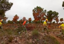 Universitarios y estudiantes de Secundaria se forman en la convivencia con incendios forestales