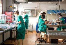 La UCLM busca captar talento investigador de excelencia para la región